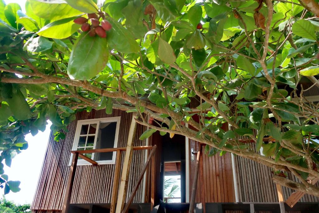 Afro Beach eco Resort Butre - Double Or Twin Room With Balcony