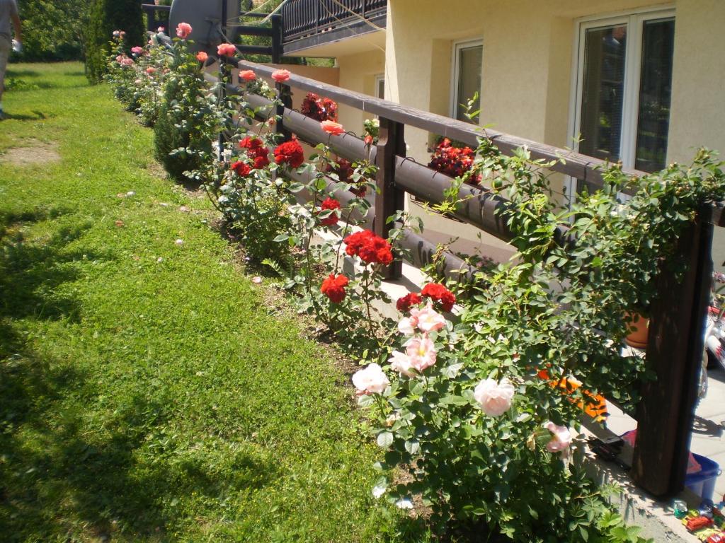 una fila di fiori sul lato di una recinzione di Apartments Vila Velickovic a Zlatibor