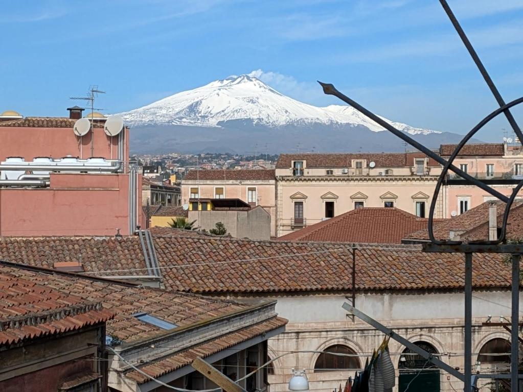 Una vista de una montaña cubierta de nieve desde los tejados de los edificios. en Loft Casa Celeste, en Catania
