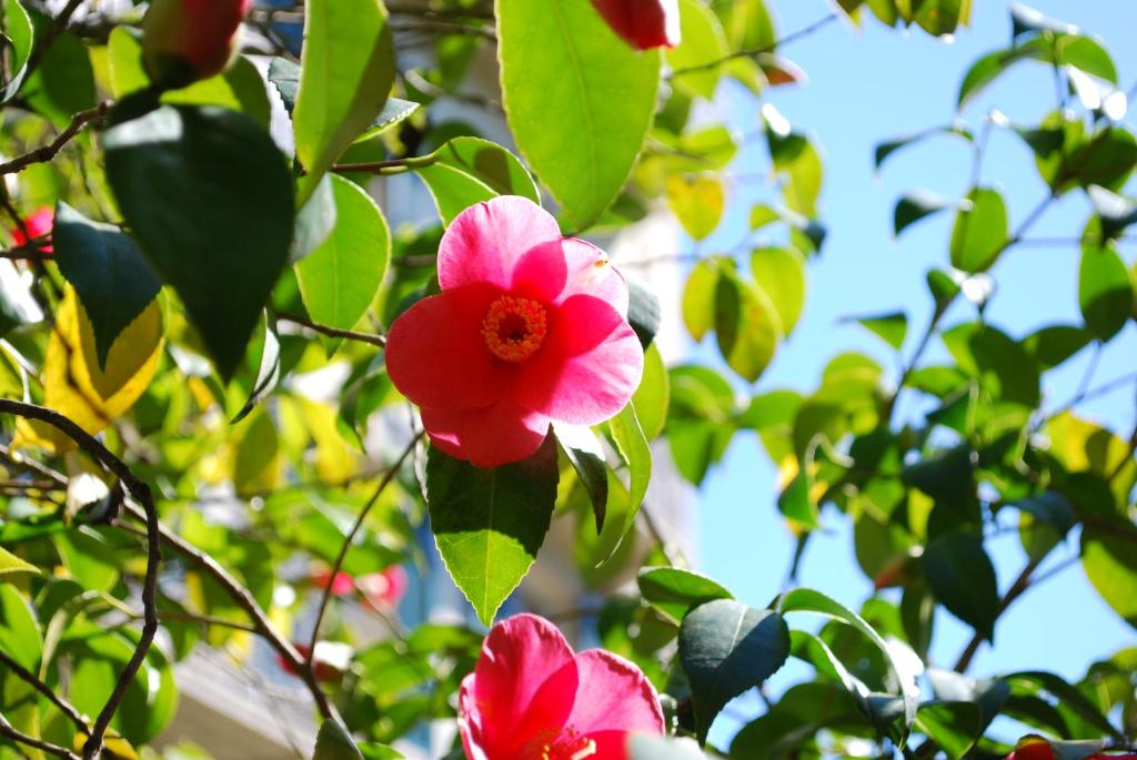 Hotel&Hostel Montarina - Resim 43