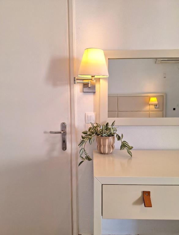 a potted plant sitting on a table next to a door at Ever Green beach Apartments in Kavos