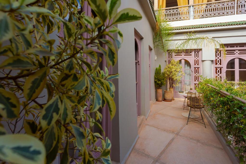 une cour d'une maison avec une plante dans l'établissement Riad 117, à Marrakech