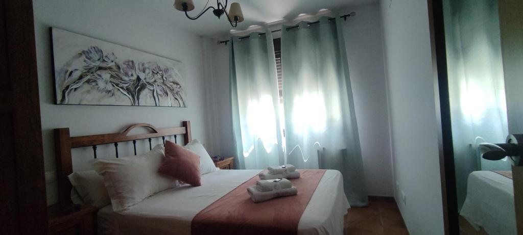 Alojamientos Puerta del Parque - 10