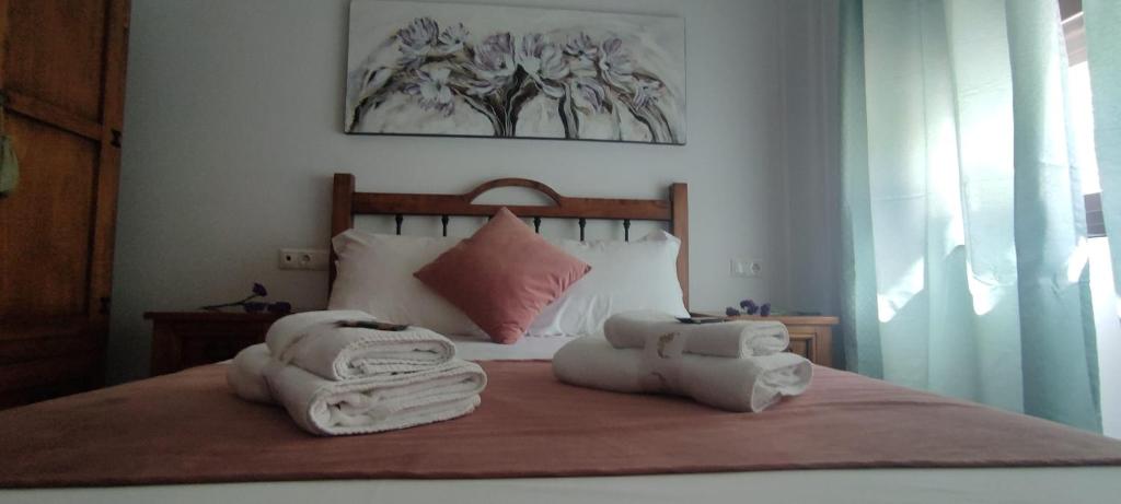 Alojamientos Puerta del Parque - 17