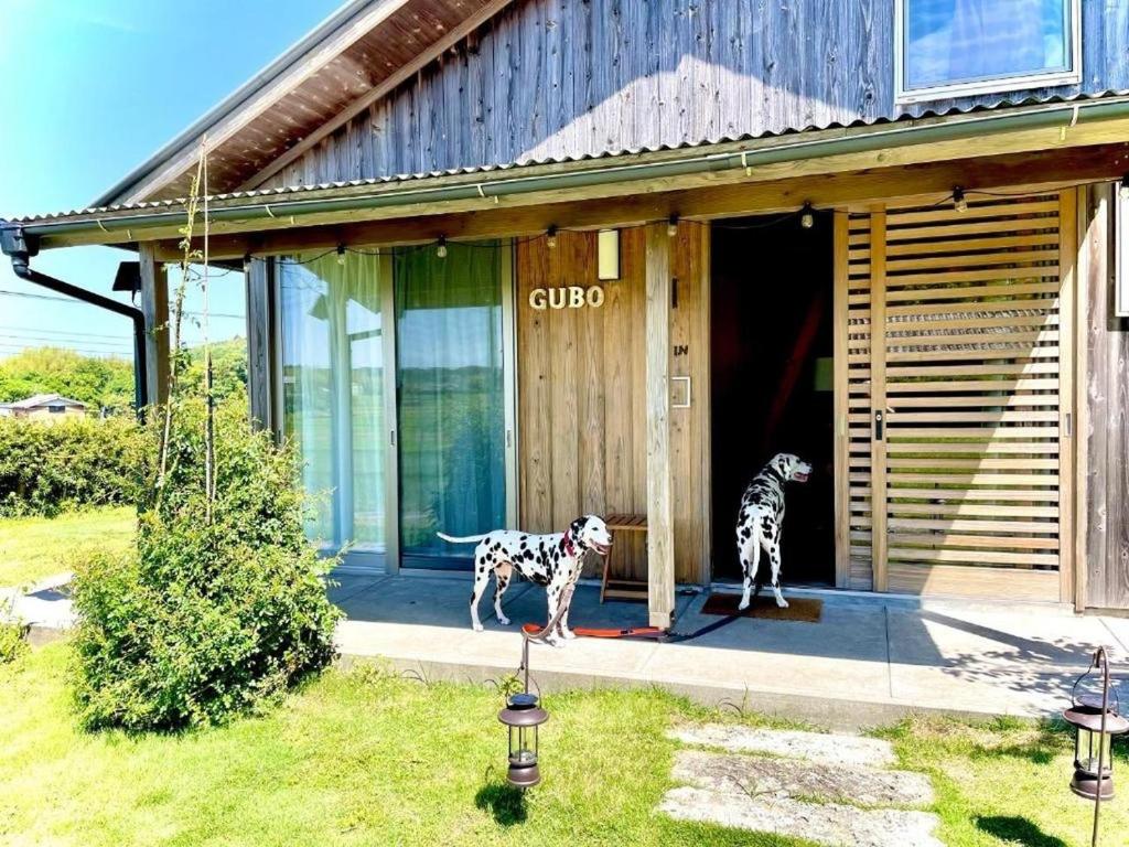 two dogs standing in the doorway of a house at Gubo Satoyama Suite Lodge & Camp - Vacation STAY 39507v in Katsuura