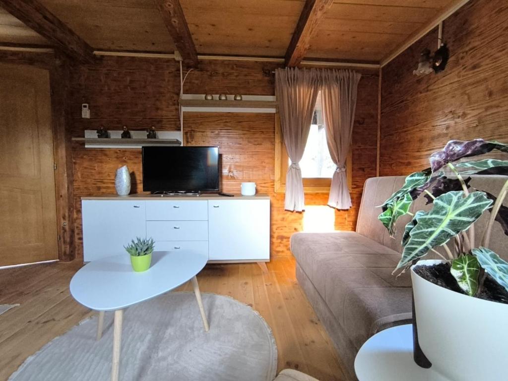 TV a/nebo společenská místnost v ubytování Wooden Lakeside Cottage