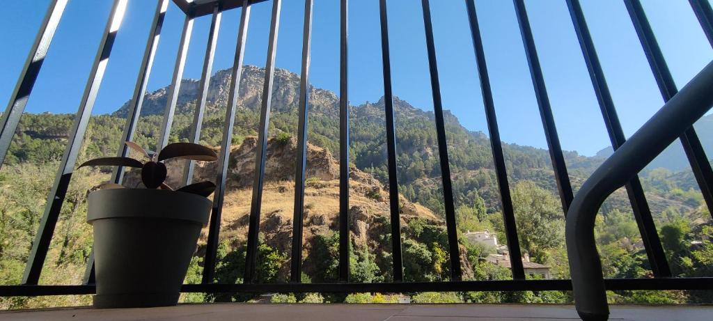 Alojamientos Puerta del Parque - 13