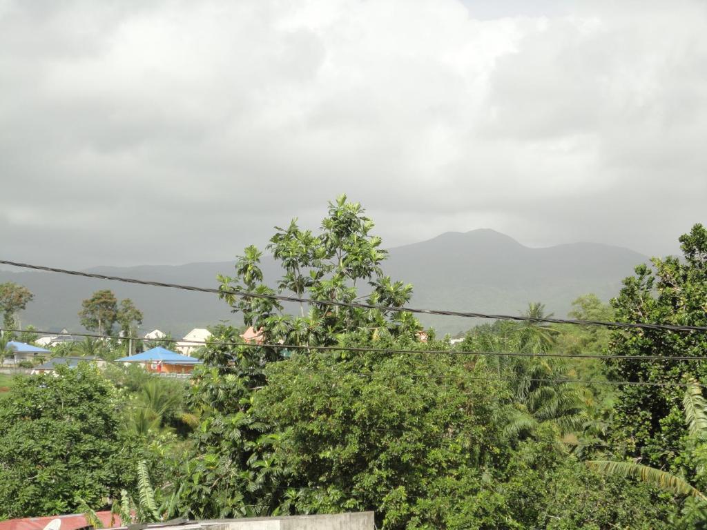 Příroda nedaleko apartmánu