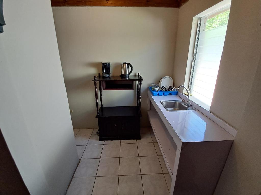 Kuchyň nebo kuchyňský kout v ubytování Mom's Place Negril