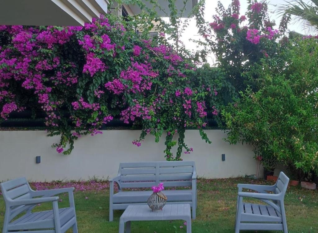House - Cesme Boyalık, Cesme (updated prices 2026)