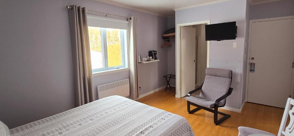 Televiisor ja/või meelelahutuskeskus majutusasutuses Auberge Fleurs de Lune