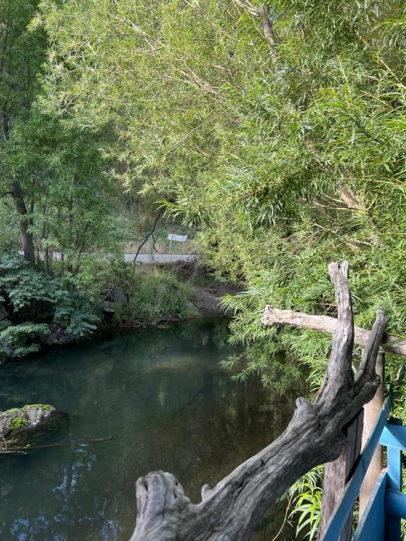 Cabañas lo de Carlo