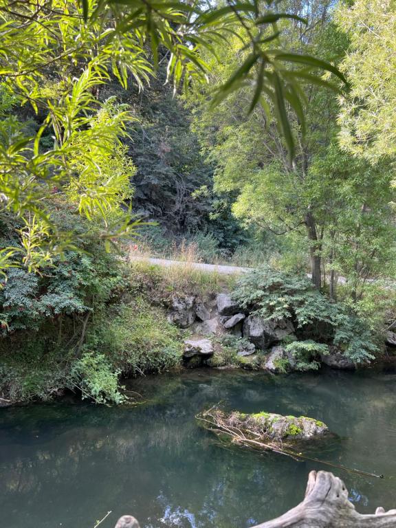 Cabañas lo de Carlo