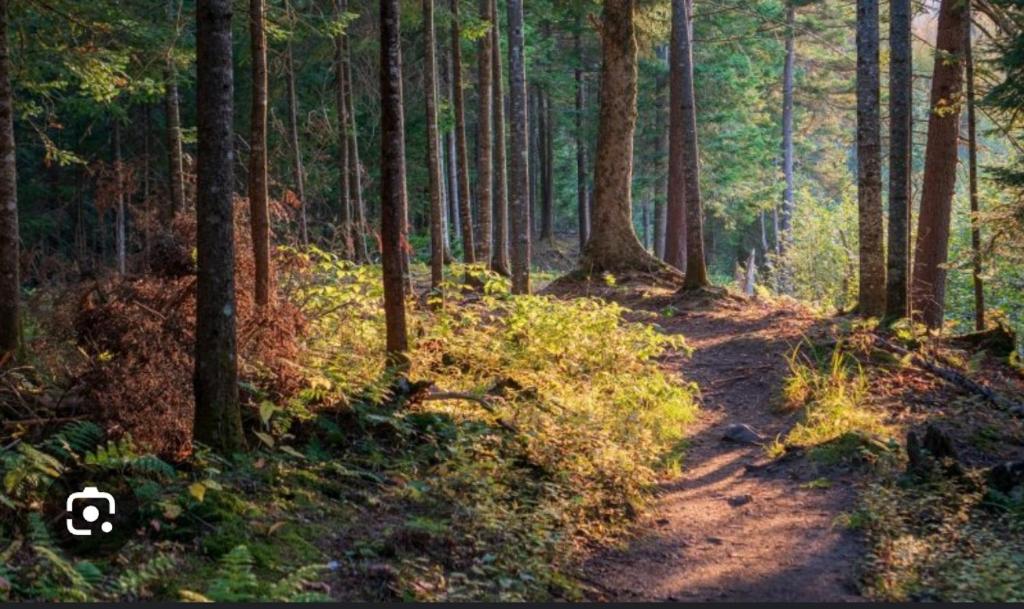 Loodusmaastik külalistemaja lähedal