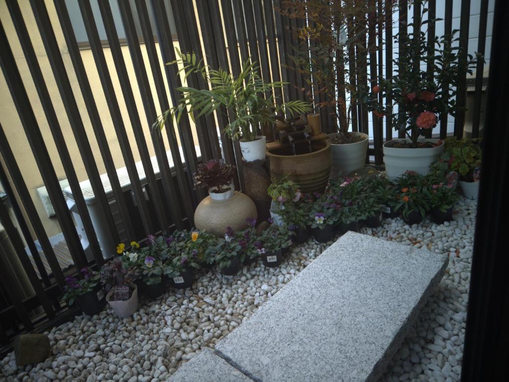 Zahrada ubytování 秋桜館Cosmos