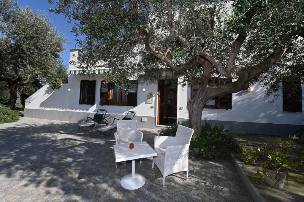 Здание апартаментов/квартиры