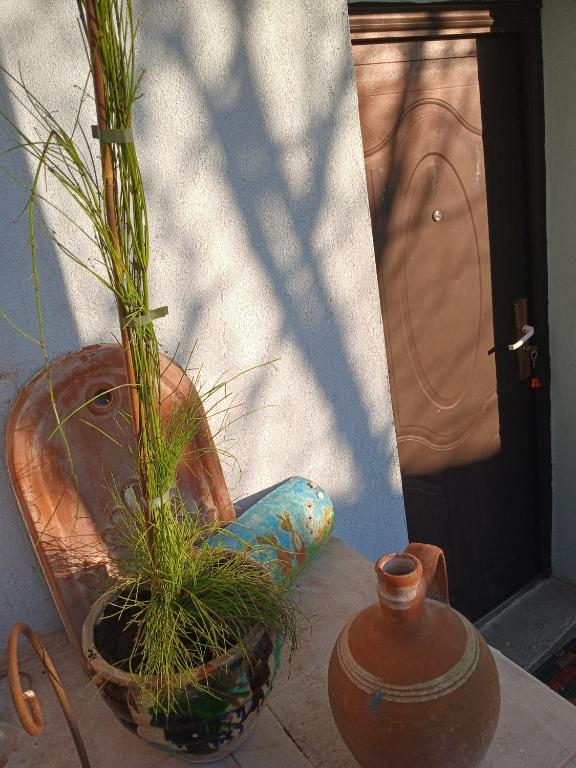two potted plants sitting on a table next to a door at Athina in Thessaloniki