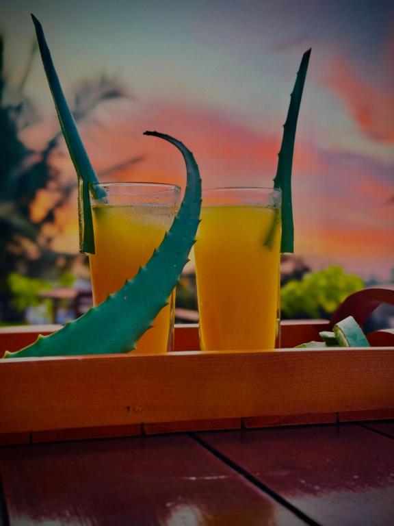 Aloe Transit Hotel - 17