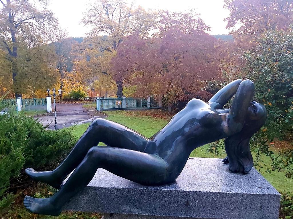 Hotel U Zámecku Cihelny - Resim 39