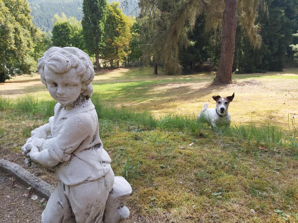 Hotel U Zámecku Cihelny - Resim 37