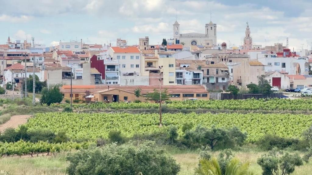 a cityscape of a town with a field of crops at La Casita Soler The Soler Cottage in Arbós