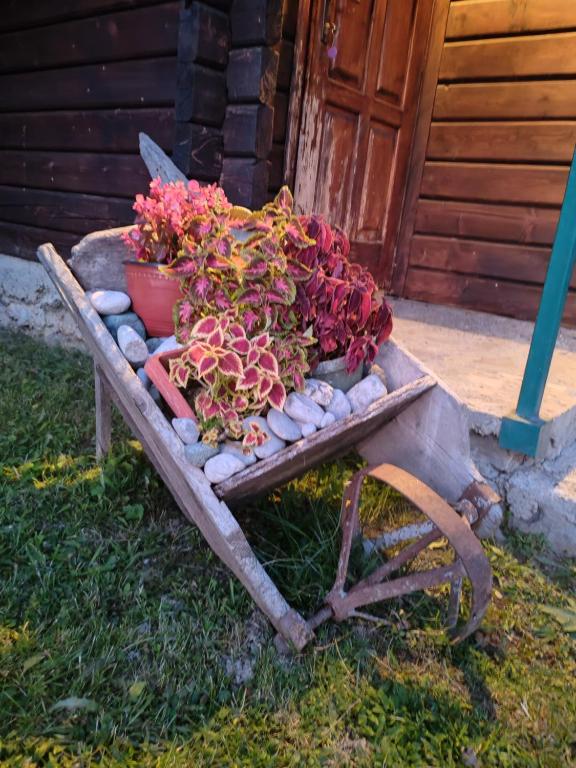 Zahrada ubytování Bungalovi Vukovic