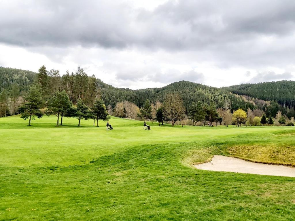 Hotel Villa Golf Cihelny - Resim 32