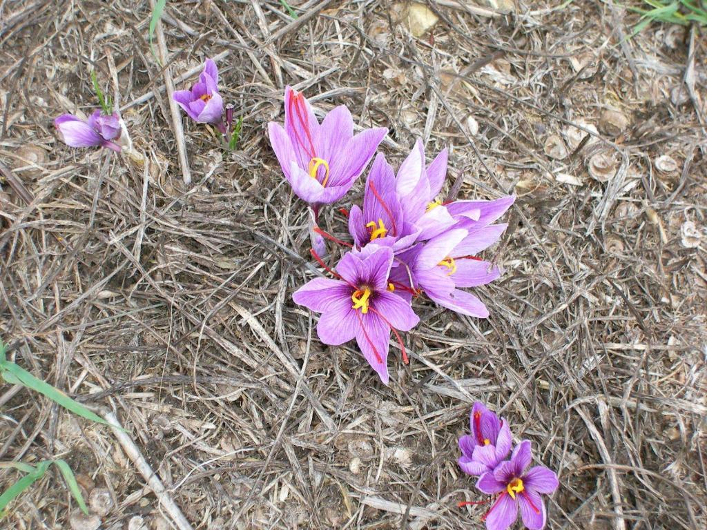 Fotografie z fotogalerie ubytování Agriturismo L'Imposto v destinaci Pomarance
