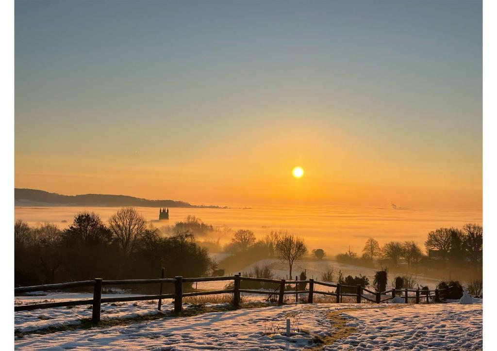 アパートメントの近くで見られる自然の景観