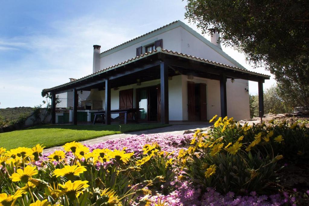 Κήπος έξω από το Villa Olga