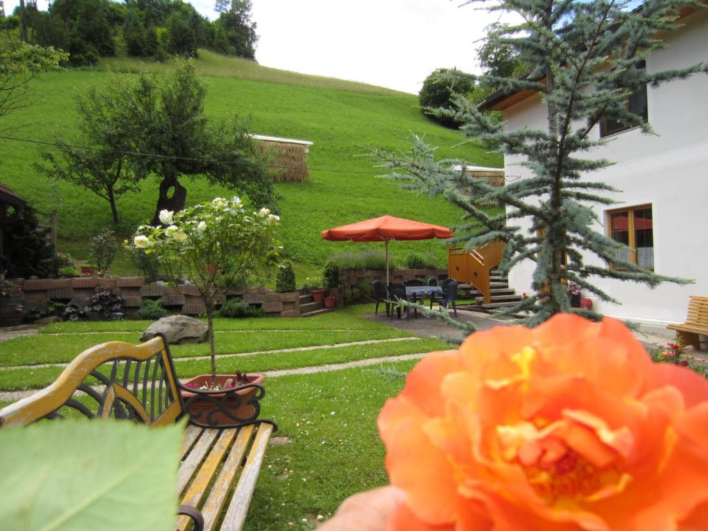 einen Garten mit einer Bank und einer Orangenblume in der Unterkunft Heidi's Schlummerkiste in Breitenau am Hochlantsch