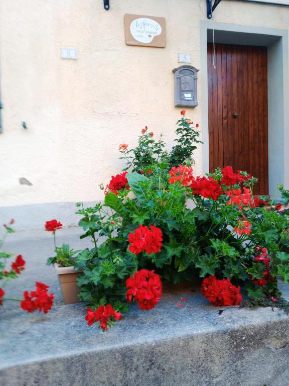 Fotografie z fotogalerie ubytování Casa Vacanze L'Acquerello v destinaci Lari