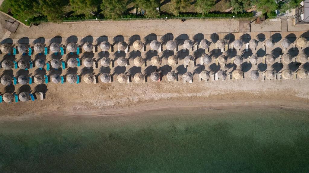 Příroda nedaleko hotelu