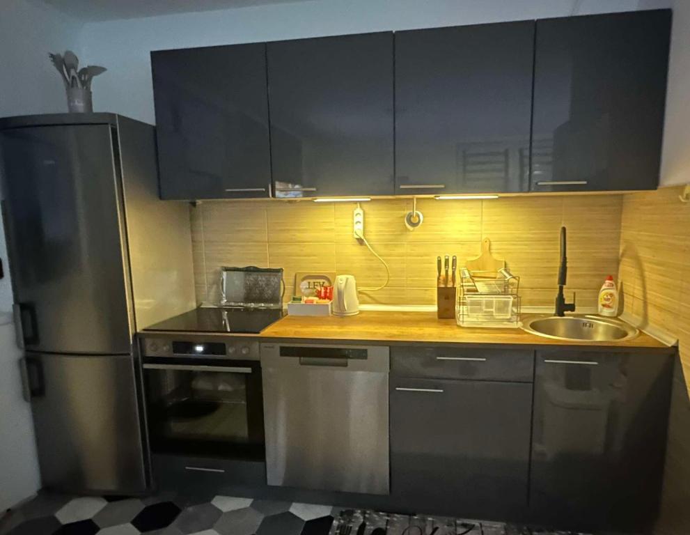 Η κουζίνα ή μικρή κουζίνα στο Apartman Bn Vlasic