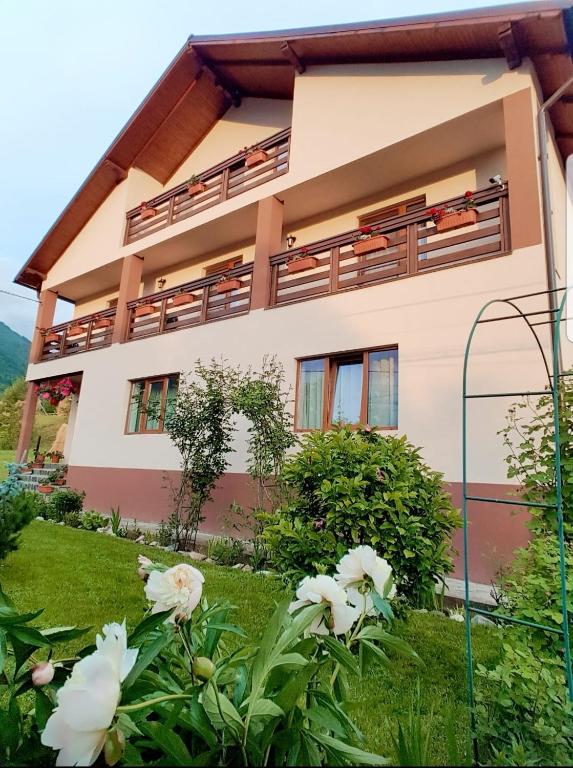a house with balconies and flowers in front of it at Casa Raul Borșa in Borsa