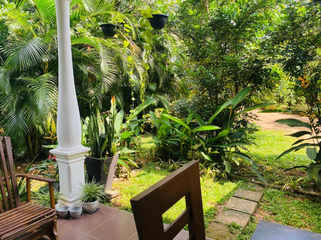 Zahrada ubytování Fairview Dill homestay