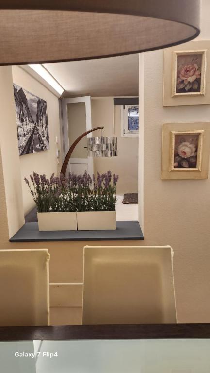 Fotografie z fotogalerie ubytování appartamento comfort Malpensa check in h 24 posto auto privato v destinaci Casorate Sempione