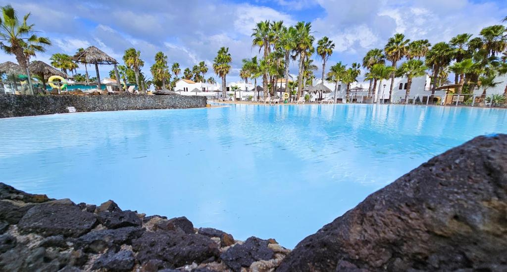 a large swimming pool with blue water and palm trees at Blue Oasis in Corralejo