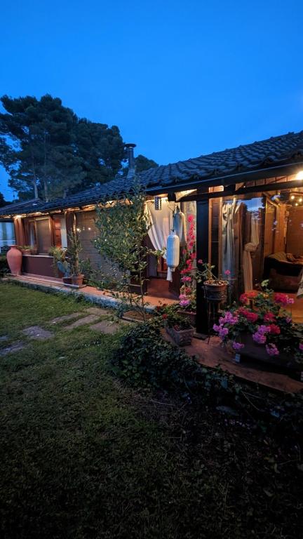Zahrada ubytování Chalet sul Trasimeno
