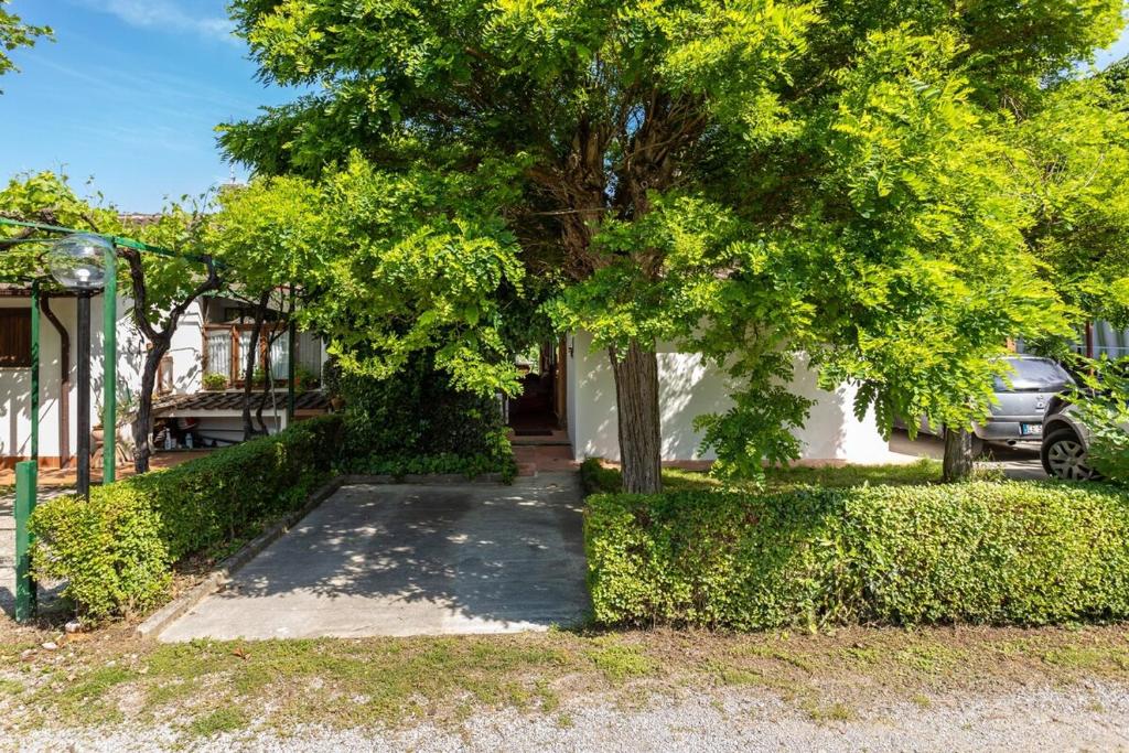 Zahrada ubytování Chalet sul Trasimeno