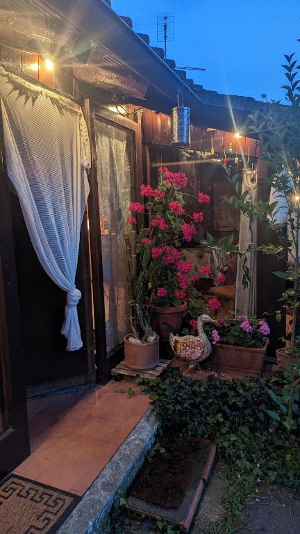 Zahrada ubytování Chalet sul Trasimeno