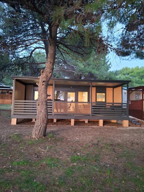 una casetta seduta accanto ad un albero di Villa Petra a Vodice