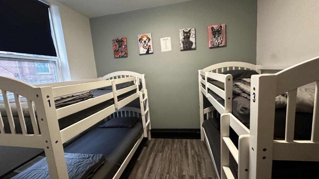 Queen Nest Hotel - Resim 36