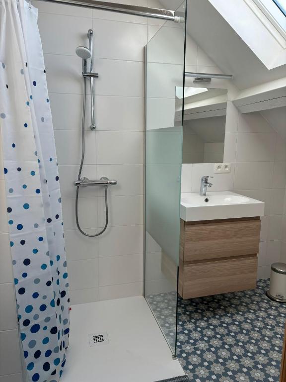 a bathroom with a shower and a sink at Chez MJ in Pont-à-Celles