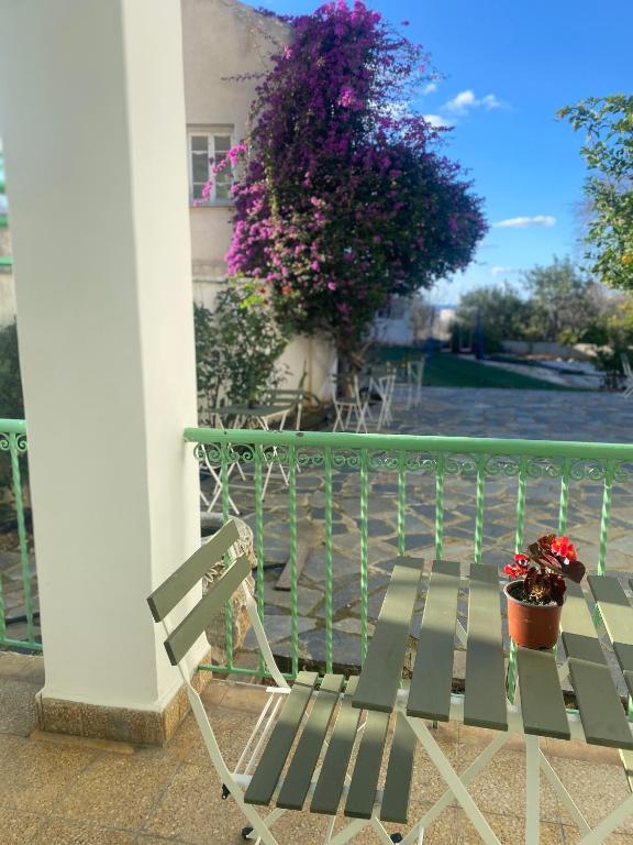 Balkón nebo terasa v ubytování Hostl - Beds & Rooms - The Hostel Inn Paphos, Old Town