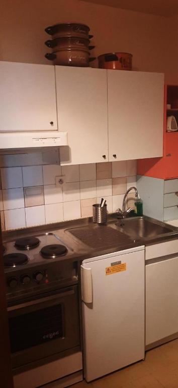 Kuchyňa alebo kuchynka v ubytovaní Résidence Les Aloubiers - TROIS PIECES PIED DES PISTES VILLARD DE LANS MAE-3434