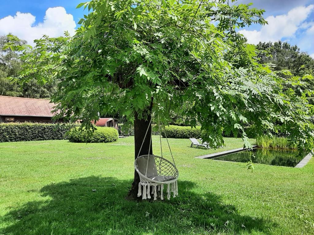 Zahrada ubytování B&B De Levensboom