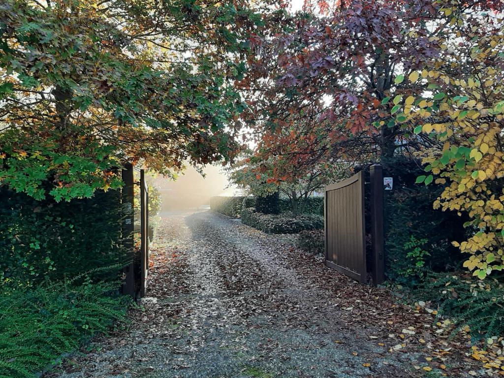 Fotografie z fotogalerie ubytování B&B De Levensboom v destinaci Tessenderlo