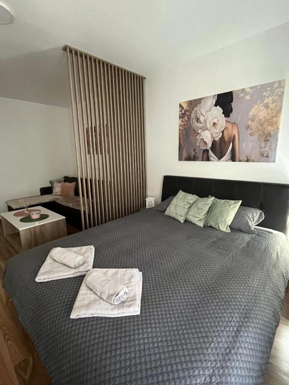Postel nebo postele na pokoji v ubytování Vlasic Apartmani HANA