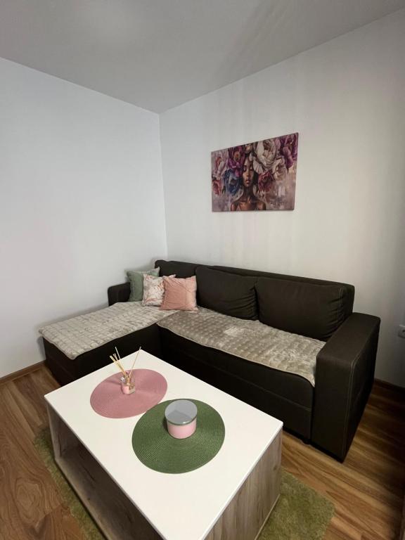 Posezení v ubytování Vlasic Apartmani HANA